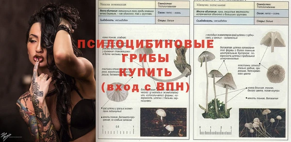 прущие крисы Ладушкин