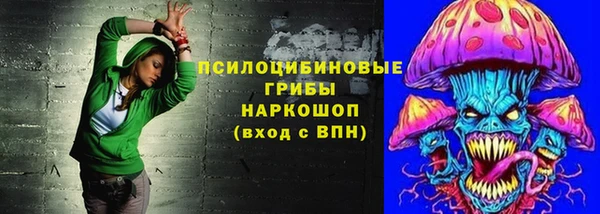 первитин Лабытнанги
