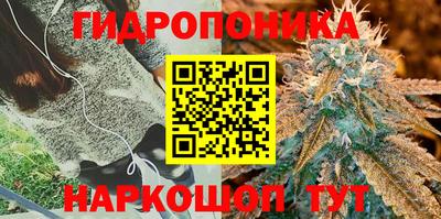 jwh Кулебаки