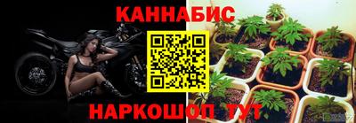 сатива Кумертау