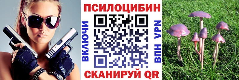Галлюциногенные грибы прущие грибы Киров