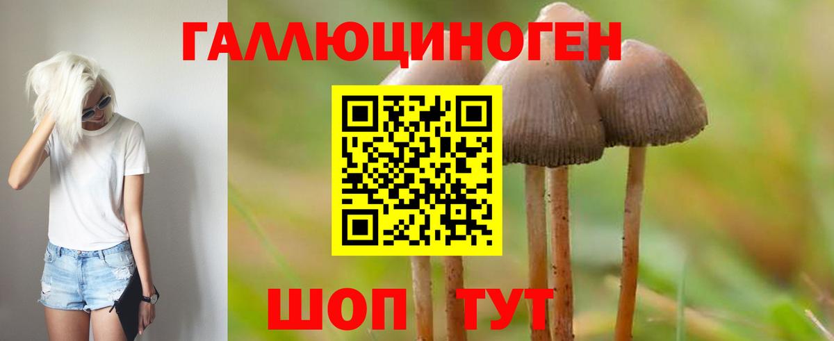 Галлюциногенные грибы Psilocybe  Вход с VPN  Киров  Галлюциногенные грибы MAGIC MUSHROOMS 